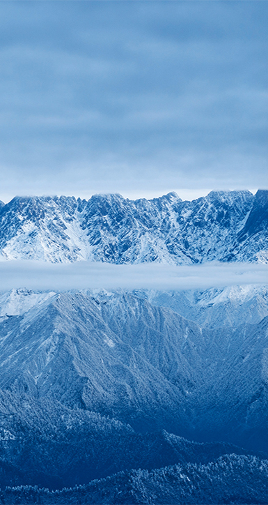 ����AG8����